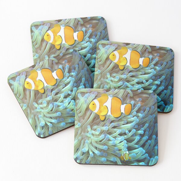 Item preview, Great Barrier Reef of Australia Common Clownfish designed and sold by Tamas Das.