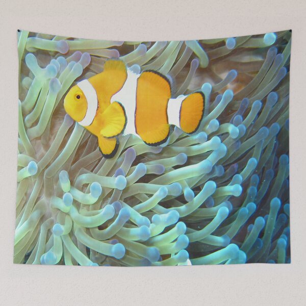 Item preview, Great Barrier Reef of Australia Common Clownfish designed and sold by Tamas Das.