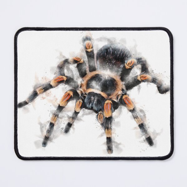 Item preview, Tarantula Watercolour Artwork designed and sold by Typeglyphs.