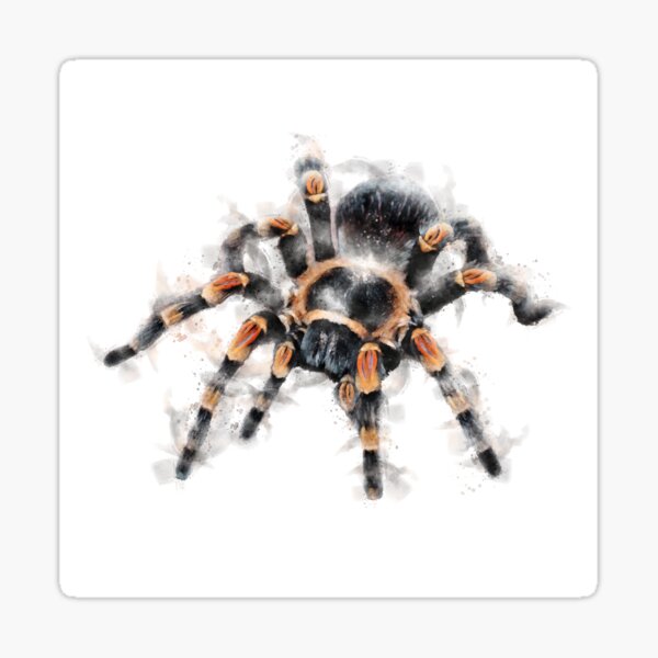 Item preview, Tarantula Watercolour Artwork designed and sold by Typeglyphs.