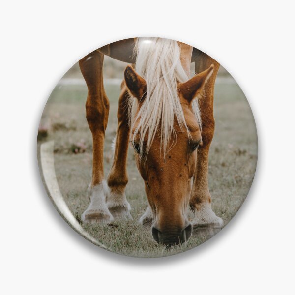 Item preview, red horse grazing designed and sold by KNBS.