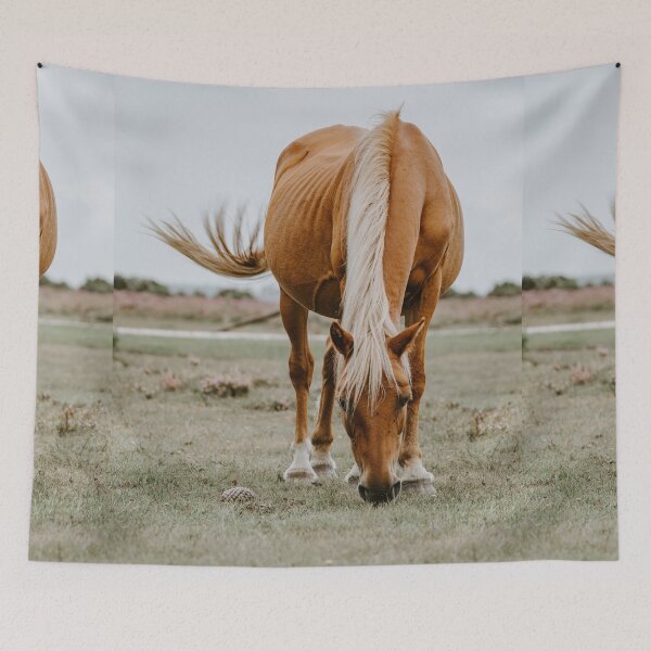 Item preview, red horse grazing designed and sold by KNBS.