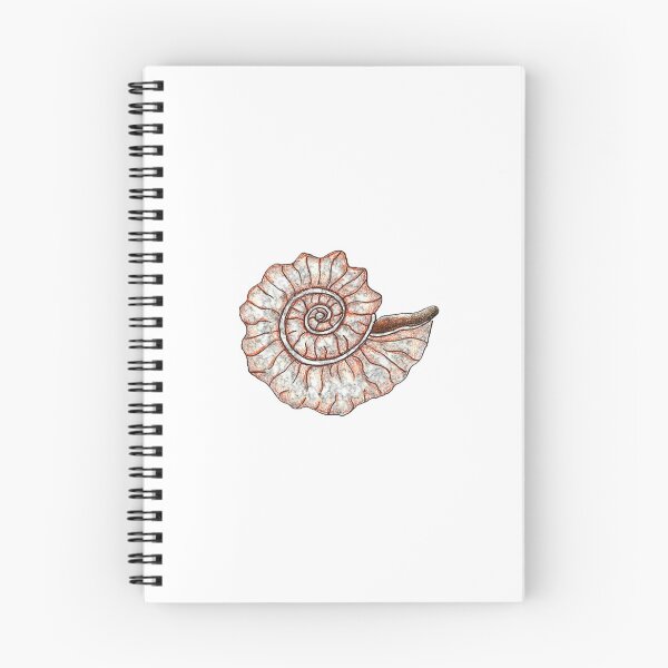 Item preview, Fibonacci Sea Shell designed and sold by bellamells.