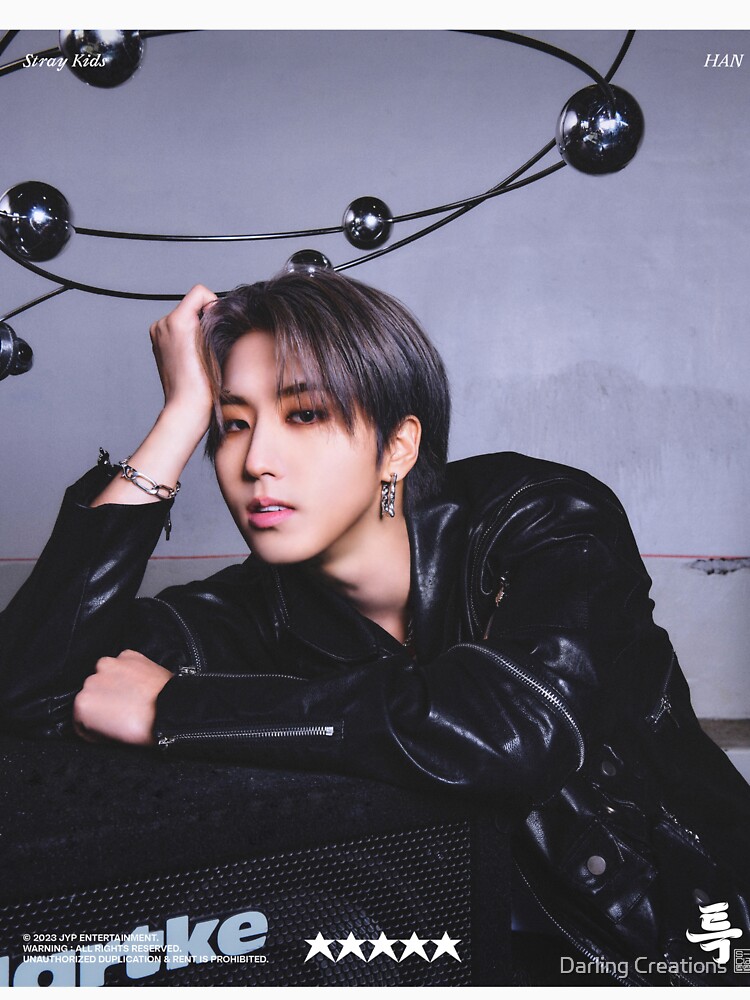 STRAY KIDS HAN