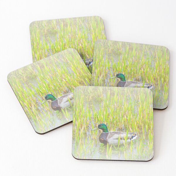 Item preview, Mallard duck designed and sold by mary02.