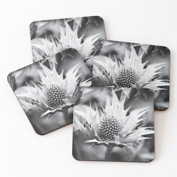 Item preview, Sea Holly Black And White designed and sold by Tanya C  Smith.