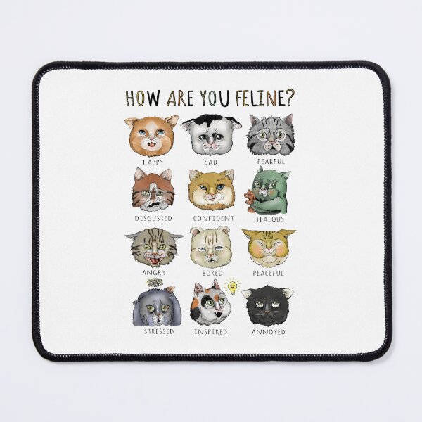 Item preview, How Are You Feline? Cat Themed Feelings Chart designed and sold by ReaDillo.
