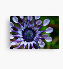paddle flowers Canvas Print
