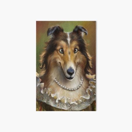 Collie, The Court Favorite Lady Dog Art Board Print