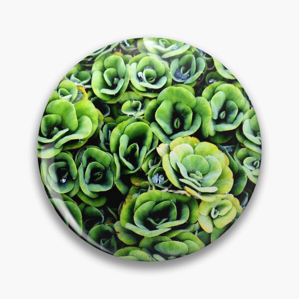 Item preview, A patterned Decorative Water Plants designed and sold by Rav33822.