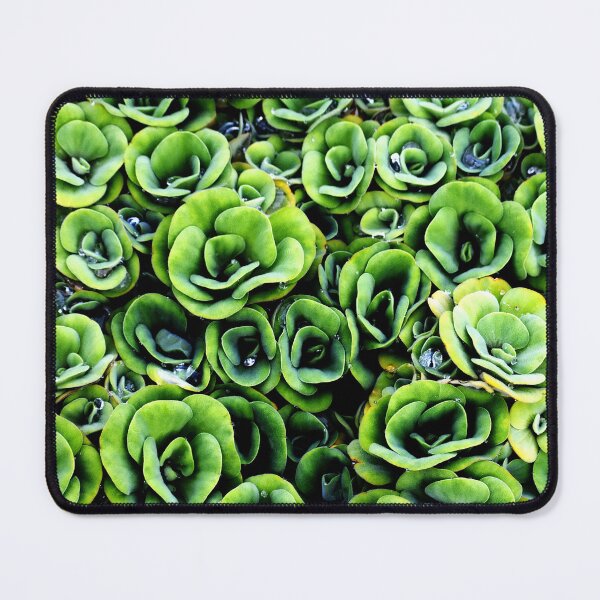 Item preview, A patterned Decorative Water Plants designed and sold by Rav33822.