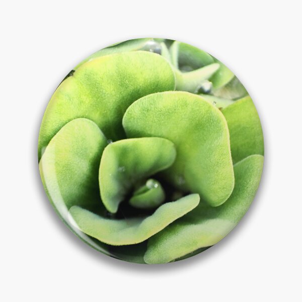 Item preview, A patterned Decorative Water Plants designed and sold by Rav33822.