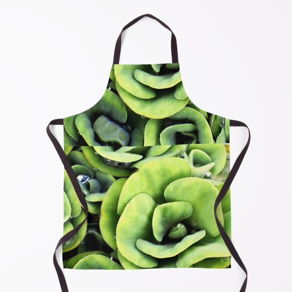 Item preview, A patterned Decorative Water Plants designed and sold by Rav33822.