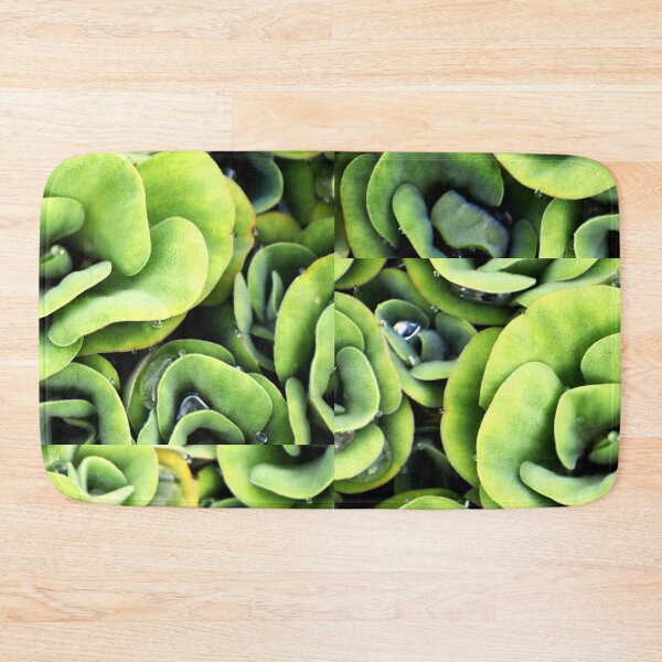 Item preview, A patterned Decorative Water Plants designed and sold by Rav33822.