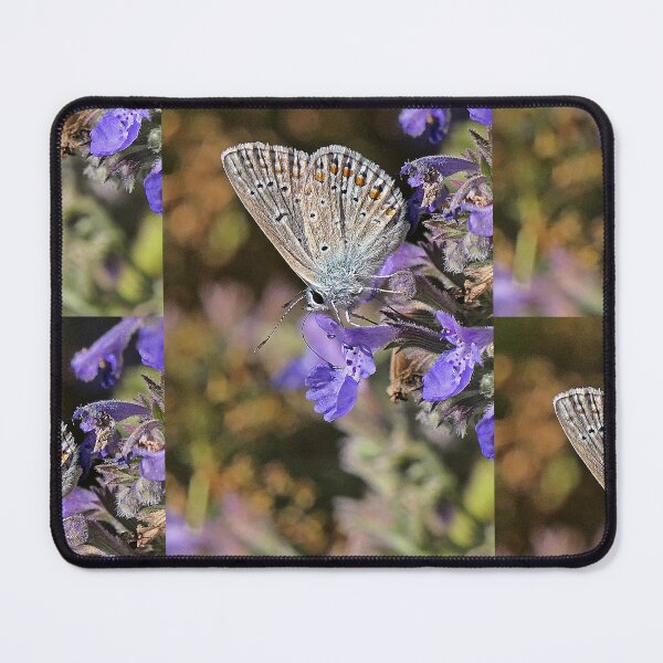 Item preview, vr 3268 / finition 2023 - 4   Papillon   Okaio Créations  Olavia-Olao designed and sold by o.okaïo.