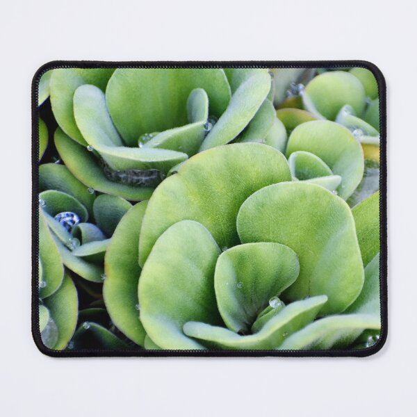 Item preview, A patterned Decorative Water Plants designed and sold by Rav33822.