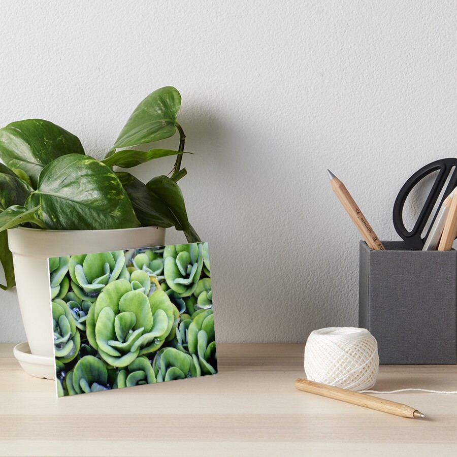 Vista previa del artículo con la obra «Lámina rígida», diseñado y vendido por Rav33822.