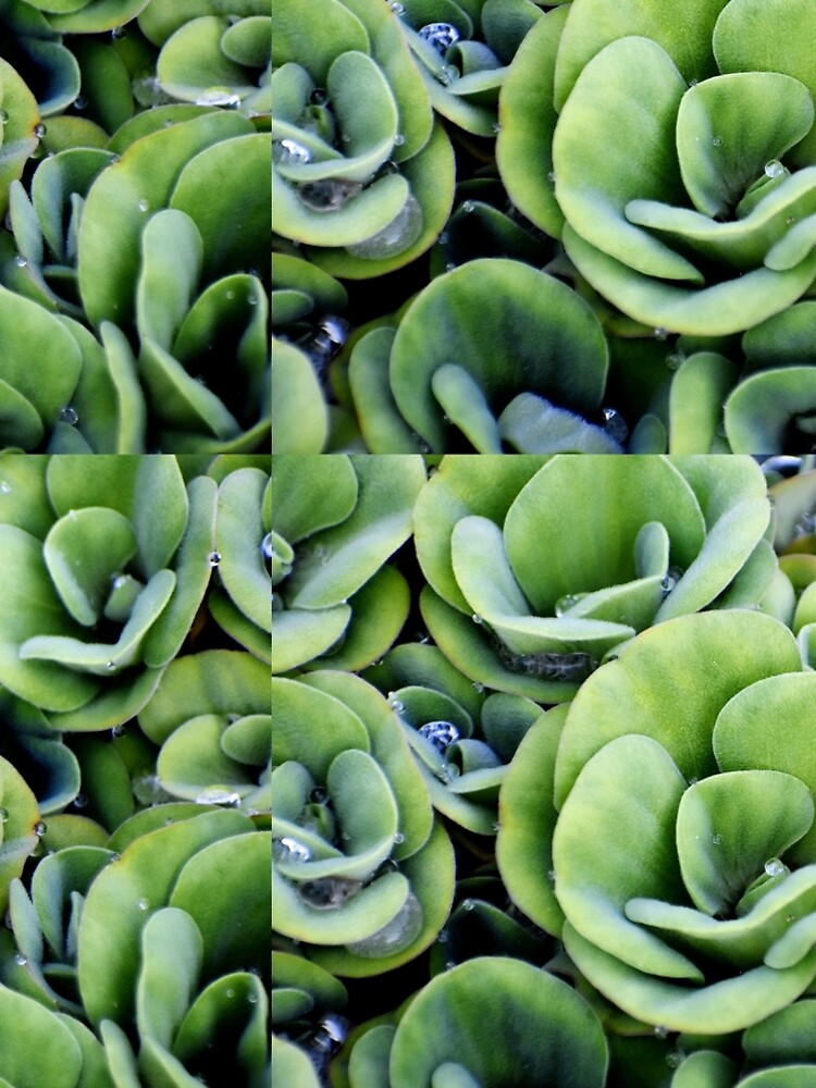 Thumbnail 5 von 5, A-Linien Kleid, A patterned Decorative Water Plants designt und verkauft von Rav33822.
