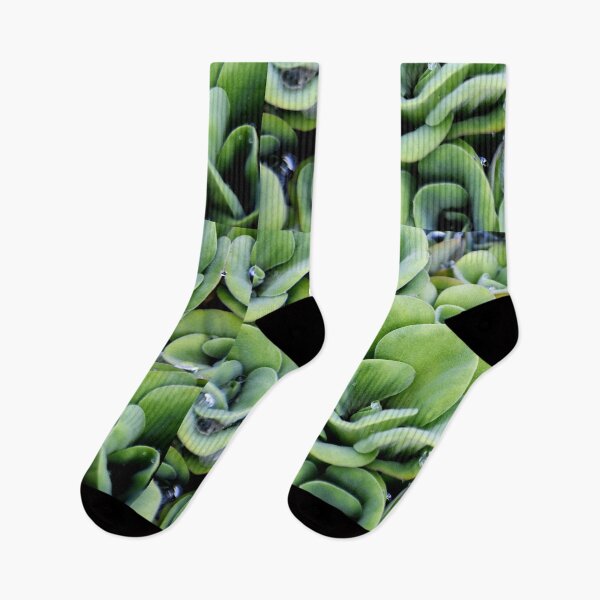 Item preview, A patterned Decorative Water Plants designed and sold by Rav33822.