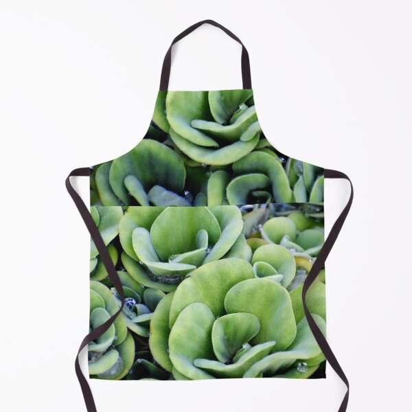 Item preview, A patterned Decorative Water Plants designed and sold by Rav33822.