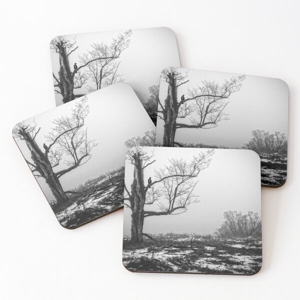 Item preview, Lone Tree In Fog BnW designed and sold by Robert Alsop.