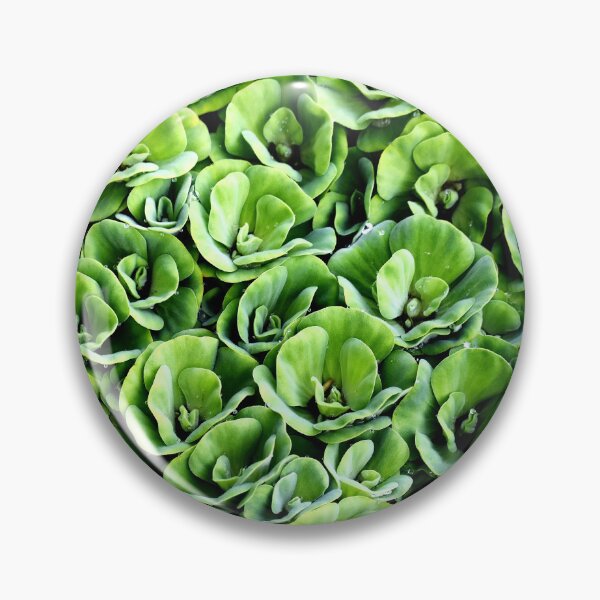 Item preview, A patterned Decorative Water Plants designed and sold by Rav33822.