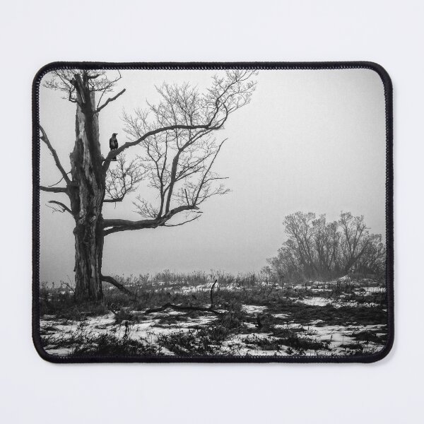 Item preview, Lone Tree In Fog BnW designed and sold by Robert Alsop.