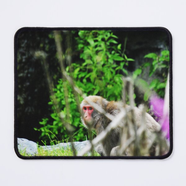 Item preview, macaque designed and sold by PhotographAnouk.