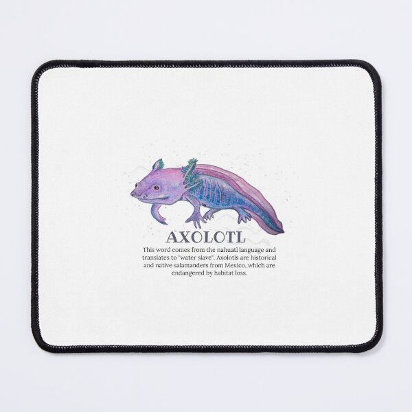 Item preview, The axolotl (species information) - Animals backgrounds designed and sold by DaniOpossum95.