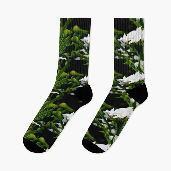 Item preview, Beautiful fresh bunch of White flowers designed and sold by Rav33822.