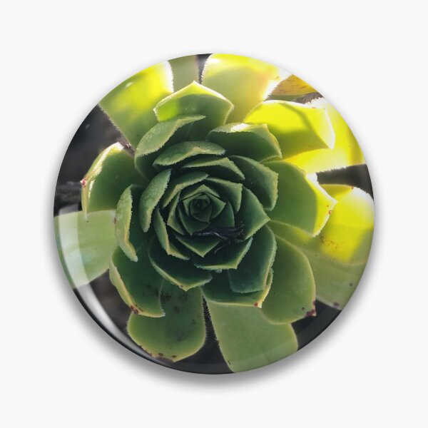 Item preview, Succulents in the Sun designed and sold by JesusFitArt.
