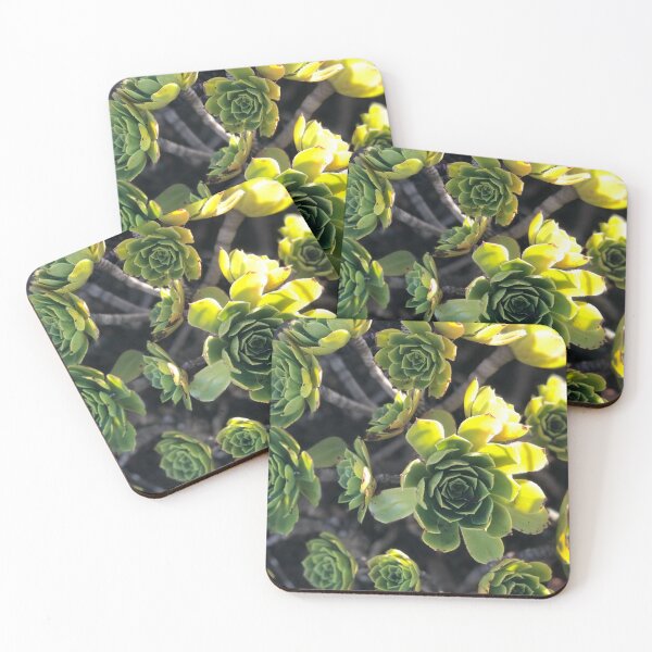 Item preview, Succulents in the Sun designed and sold by JesusFitArt.