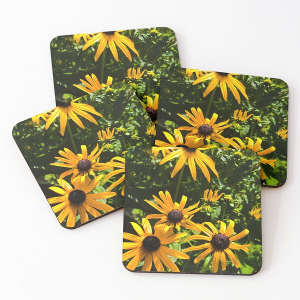 Aperçu de l'œuvre Rudbeckia Hirta, Susan aux yeux noirs créée et vendue par JesusFitArt.