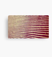 Macro Deck Canvas Print