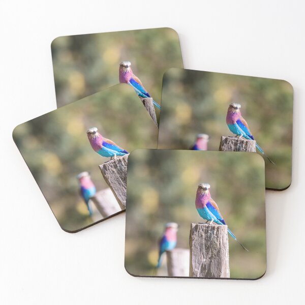 Item preview, Vibrant Wings Lilac Breasted Roller designed and sold by Alison Lee Rubie.