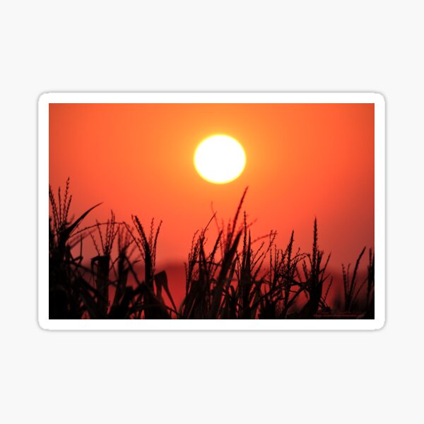 As the Sun Sets 2 Sticker