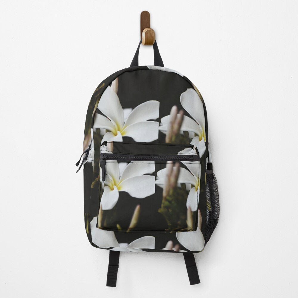 Vista previa del artículo con la obra «Mochila», diseñado y vendido por Rav33822.