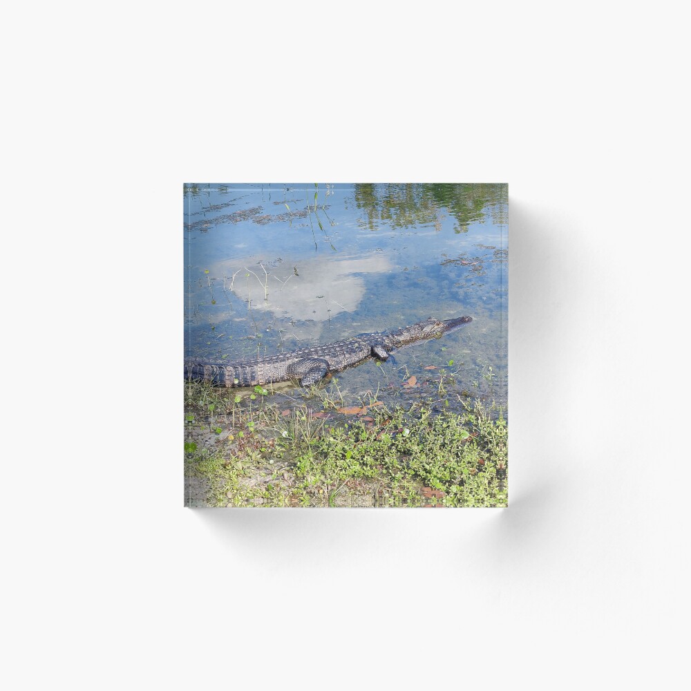 Item preview, Acrylic Block designed and sold by ColderDesignLab.