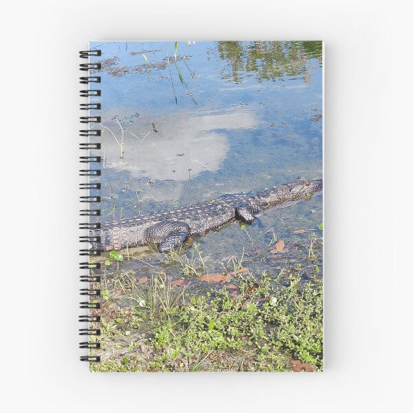 Item preview, Gator Gabriel  designed and sold by ColderDesignLab.