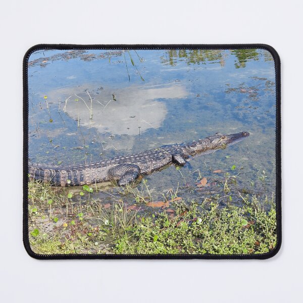 Item preview, Gator Gabriel  designed and sold by ColderDesignLab.