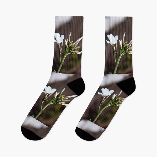 Item preview, Beautiful fresh bunch of White flowers designed and sold by Rav33822.