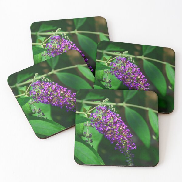 Item preview, Spotlight On The Butterfly Bush Bloom designed and sold by LisaWootenPhoto.