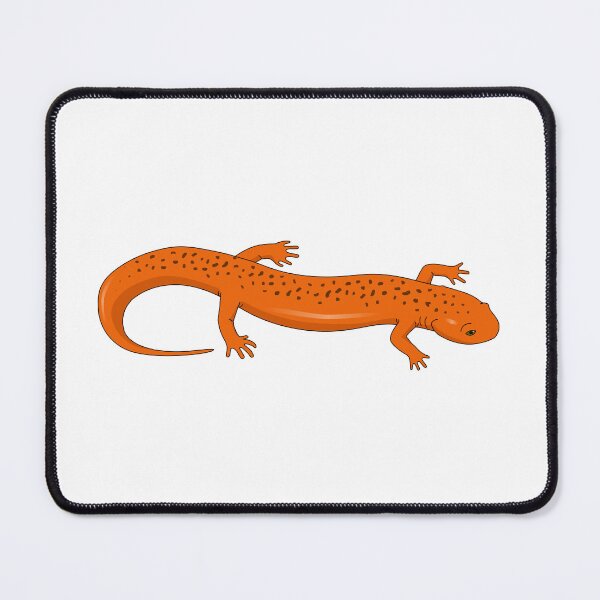 Item preview, Salamander designed and sold by Wittylot.