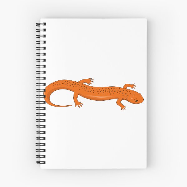 Item preview, Salamander designed and sold by Wittylot.