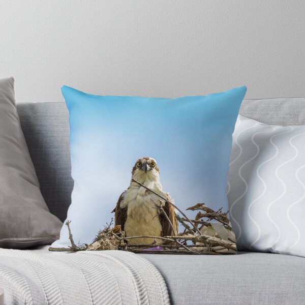 Aperçu de l'œuvre Balbuzard pêcheur vous voit | Parc national des Everglades créée et vendue par TinyDinoDesigns.