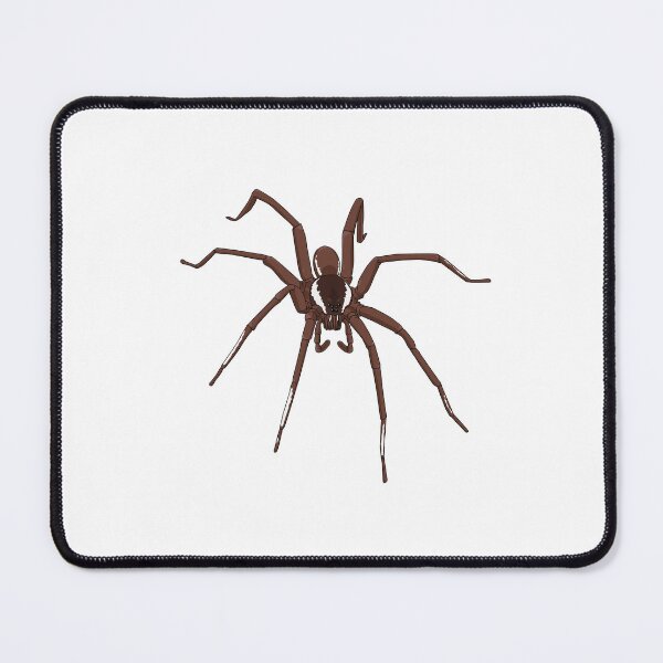 Item preview, Spider designed and sold by Wittylot.