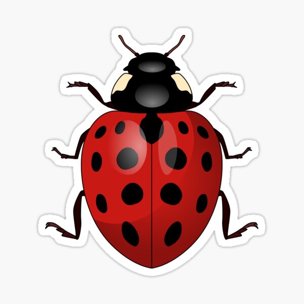 Item preview, Lady bug designed and sold by Wittylot.