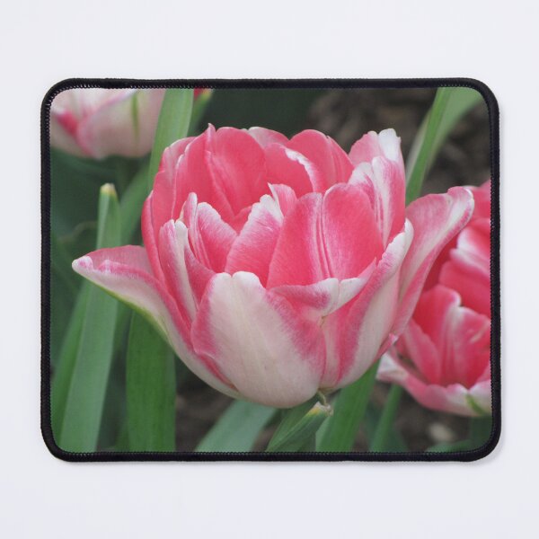 Item preview, Spring Has Sprung designed and sold by Simple Joys Photography.