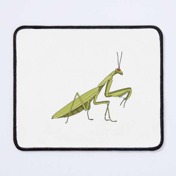 Item preview, Mantis designed and sold by Wittylot.
