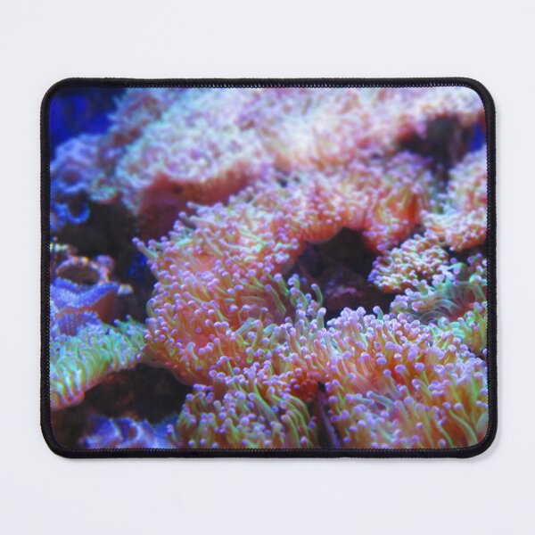 Item preview, Underwater World designed and sold by KonaCreations22.